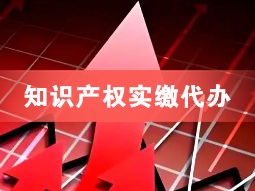 怀远知识产权实缴资本代办